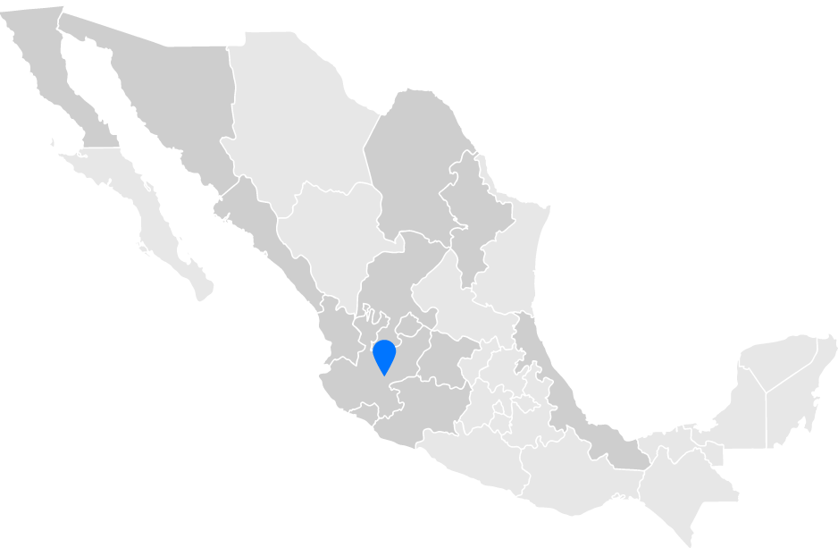 Saleiko Guadaljara mapa